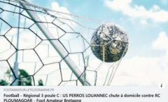 2025-03-02-vs-perros-240x145 2024-2025