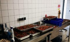 Bourguignon-2021-2-2-240x145 2020-2021